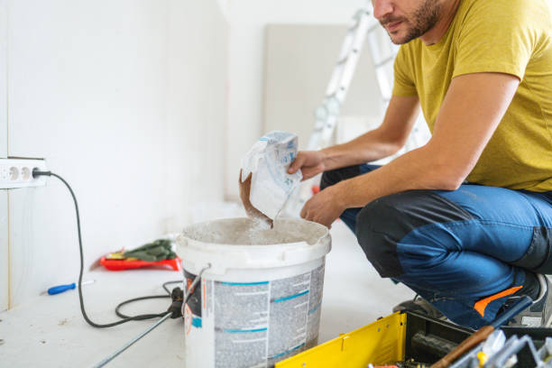 Best Basement Mold Removal  in Westfield, WI
