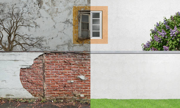 Best Black Mold Removal  in Westfield, WI