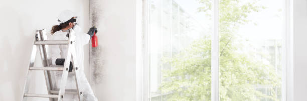 Westfield, WI Mold Removal Company